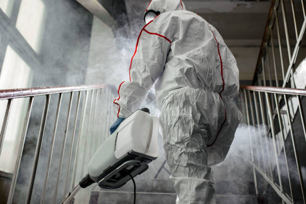 Professional Mold Removal in Loveland, CO